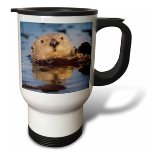 Taza De Viaje De Acero Inoxidable 3drose Ollie Otter, 14 Onz Taza De Viaje De Acero Inoxidable 3drose Ollie Otter, 14 Onz