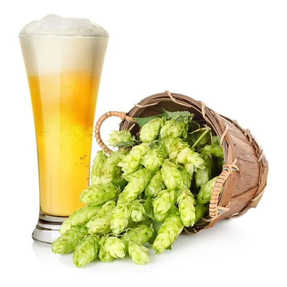 20 Sementes De Lúpulo - Trepadeira Cerveja - Humulus Lupulus