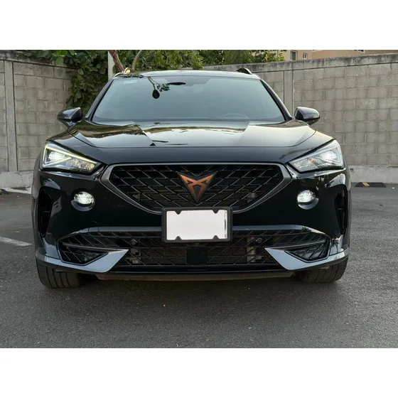 Cupra Formentor 2.0 Vz 310hp 4wd Dsg7