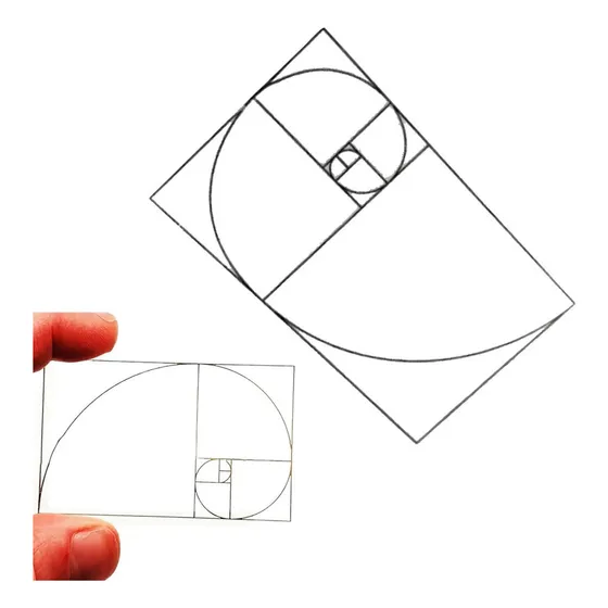 Visualizador De Composição Visualizador De Proporção Áurea