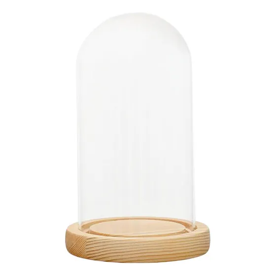 W Cúpula De Cristal Campana Campana Base De Madera 12x28cm
