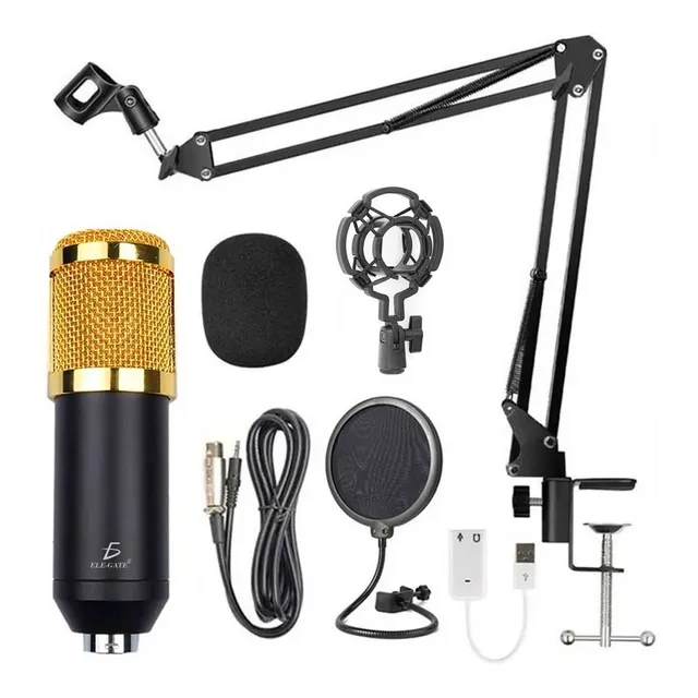 Kit Profesional Microfono Condensador Grabación Estudio Ktv Color Dorado Ele-Gate