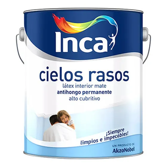 Pintura Cielos Rasos Antihongos Blanco 20l Inca Maria