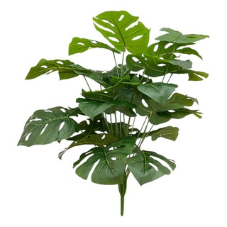 Árvore Costela Adão Artificial Realista 24 Folhas C/ 80 Cm Árvore Costela Adão Artificial Realista 24 Folhas C/ 80 Cm