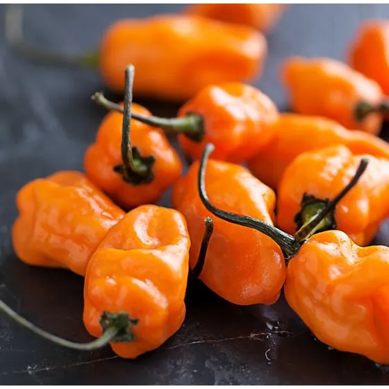 Semillas Habanero Orange