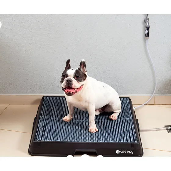 Banheiro Para Pets Weasy 70x70x10