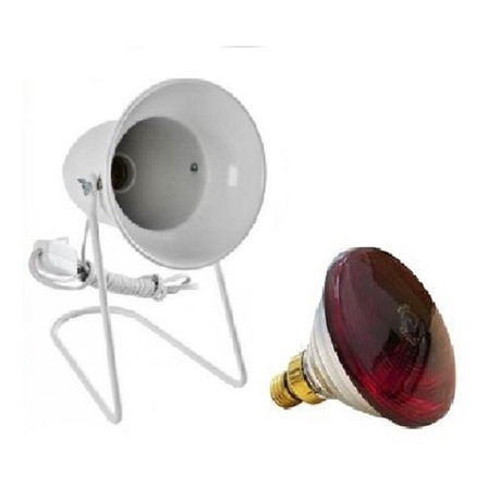 Aparelho Infra Vermelho + Lampada Philips 150w Cúpula Branco Estrutura Branco Aparelho Infra Vermelho + Lampada Philips 150w Cúpula Branco Estrutura Branco