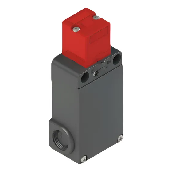 Interruptor De Seguridad Fs2996e024 Pizzato