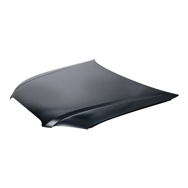 Cofre Tong Yang Audi A4 05_08