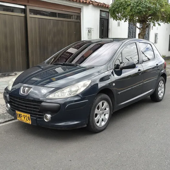 Peugeot 307 2006 2.0 Xt