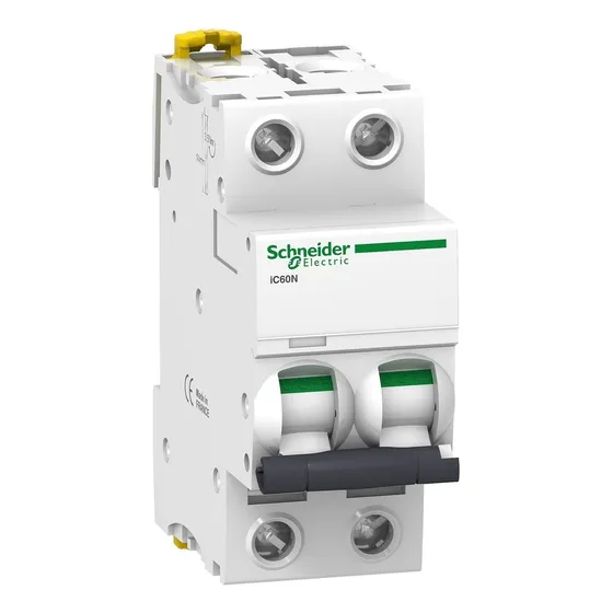 Llave Termica Bipolar Schneider Termomagnetica Ic60n 2x25 A