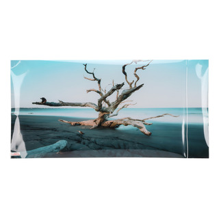 Fondo De Decoración De Acuario, Árbol Marchito, 3d, Pvc, Aut Fondo De Decoración De Acuario, Árbol Marchito, 3d, Pvc, Aut
