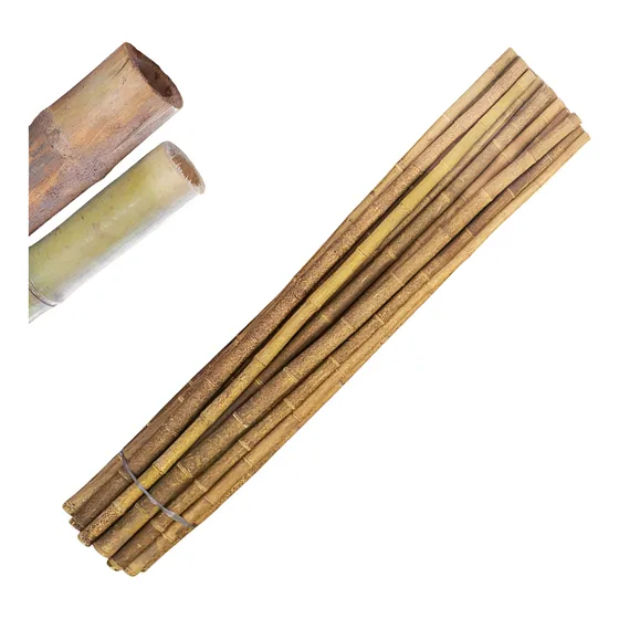 Bambu Verde Natural 2 Metros Bvn2m