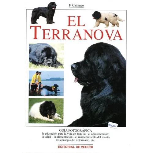El Terranova, De Cattaneo Filippo. Editorial Vecchi, Tapa Blanda En Español, 2000