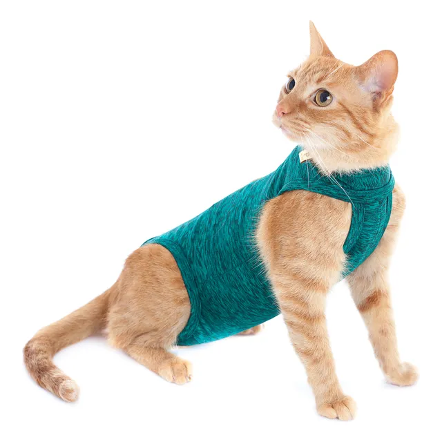 Faja Post Operatoria Para Gato Talla 2 Mediana S
