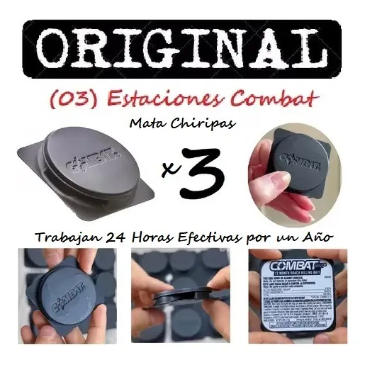 Combat Efectivas Para Matar Chiripas Del Carro Casa Cocina
