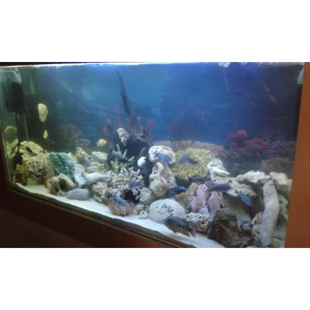 Acuario Para Peces De 1500litros