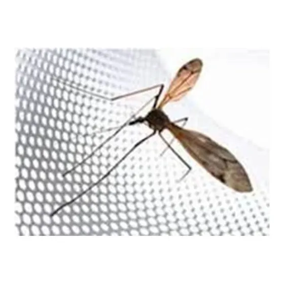 Malla Mosquitero Plastica Por Metro Y Por Rollos En Caracas