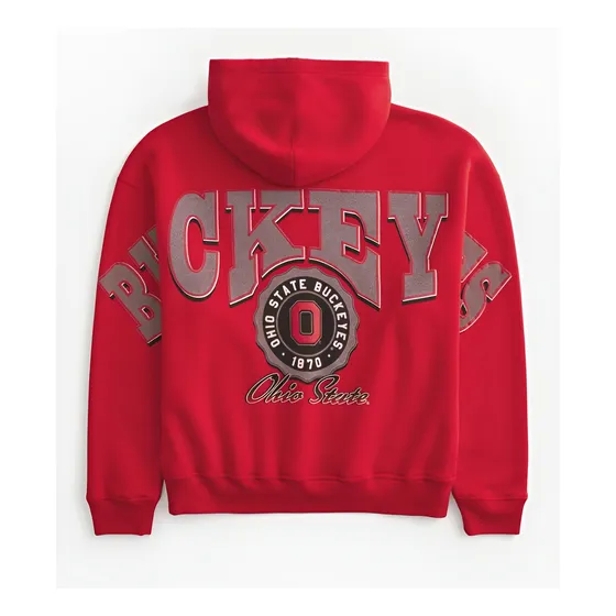 Suéter Hollister Ohio State Buckeyes Hombre