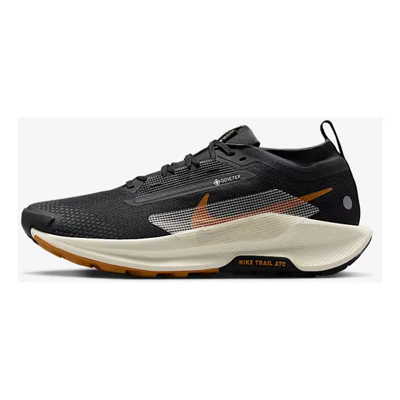 Zapatillas Nike Pegasus Trail 5 Gtx Hombre