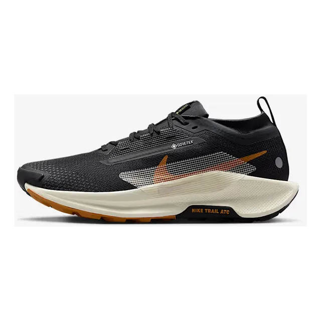 Zapatillas Nike Pegasus Trail 5 Gtx Hombre