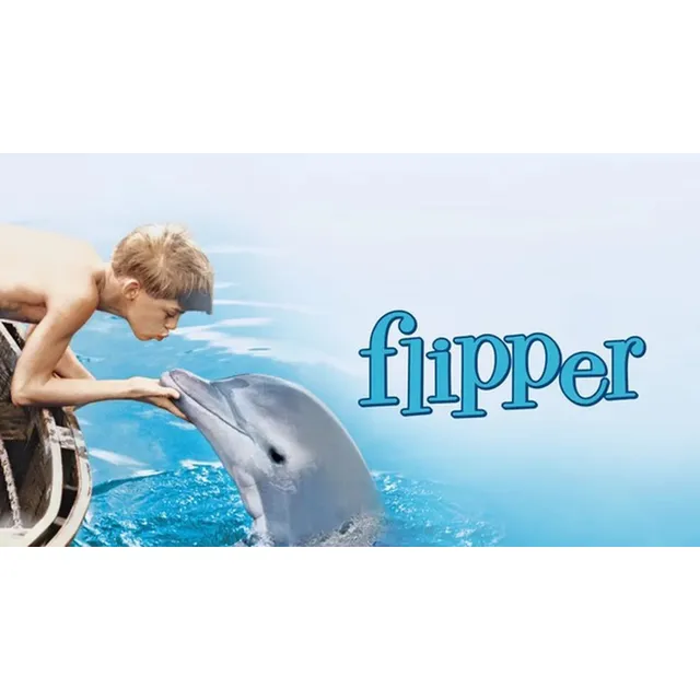 Serie Completa Flipper 