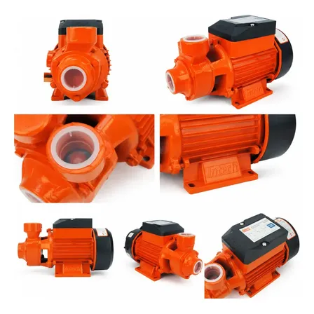 Bomba D'água Periférica Intech Machine Bp500 Laranja 60 Hz Monofásica 220v