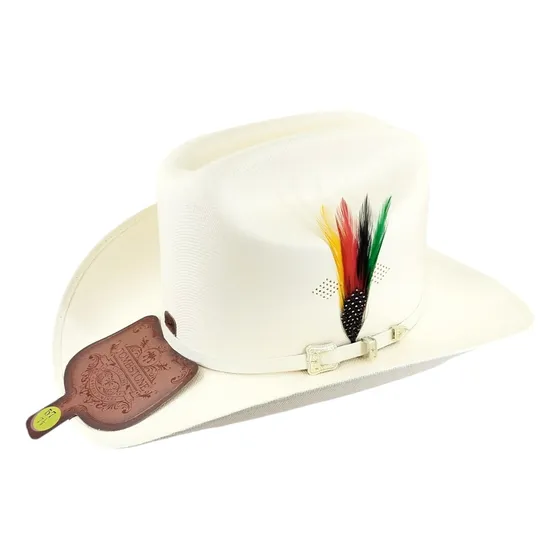 Sombrero Tombstone Panter Belico Johnson F9 Mt Biplay 1000x