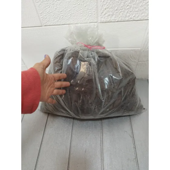 Aserrin De Coco Grueso Sustrato Para Plantas Ornamentales 