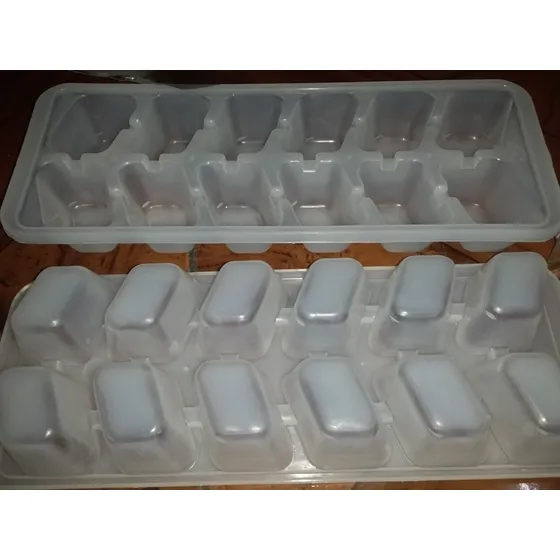 Hielera Plastica De 12 Cubos 