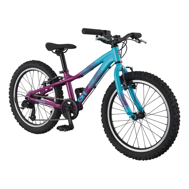 Bicicleta Montaña Gt Stomper Ht Ace Rodado 20  6 Velocidades