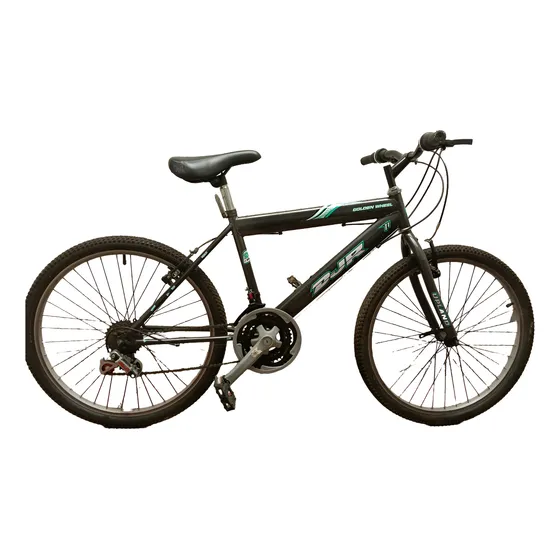 Bicicleta Djr 01 Adultos 6 Velocidades Aro 29