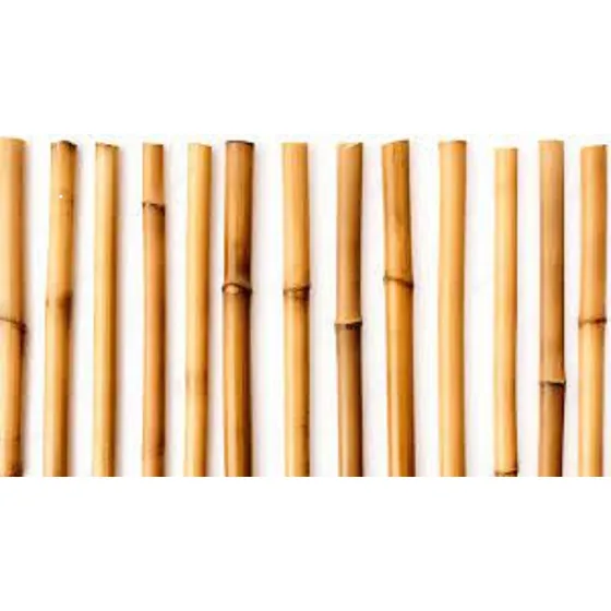 Pack X 10 Cañas De Bambu Tacuara De 1,50 Mt