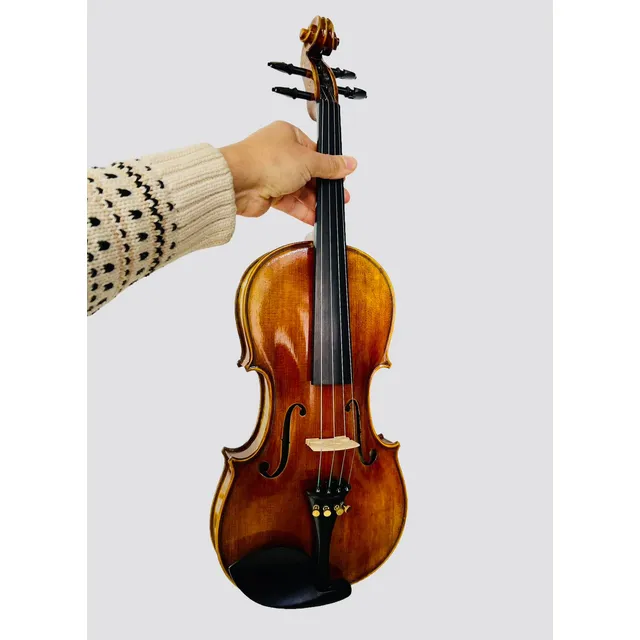 Violin Profesional Segunda Mano Usado - El Mejor Sonido