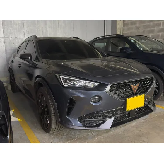 Cupra Formentor 2.0 Tsi Metalizado Dsg