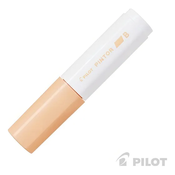 Marcadores Artísticos Pilot Pintor Trazo 8,0 Mm 18 Colores