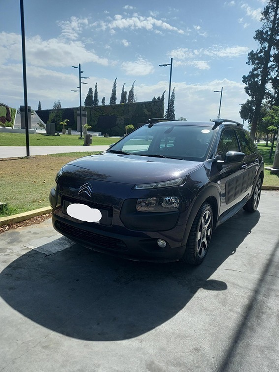 Citroen C4 Cactus 2019