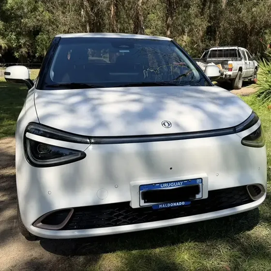 Dongfeng Nammi 2024 0.0 430 (42,3 Kwh)