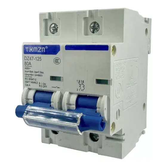 Interruptor Termomagnético Ac Riel Din 2 Polos 80a 2x80 A