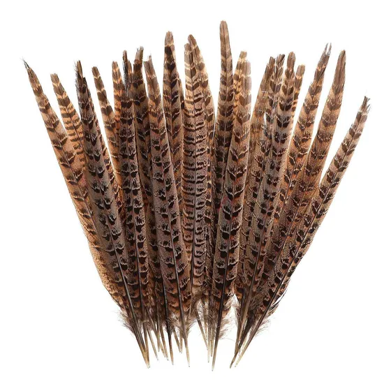 Pluma Faisan Natural Awaytr  In Para Decoracion Dama