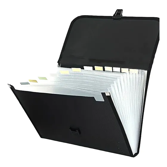 Carpeta Organizadora Clasificadora Archivo A4/13 Fuelles