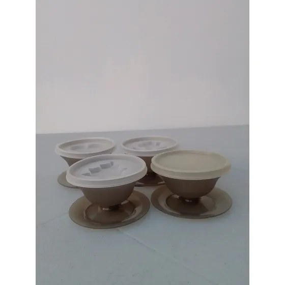 Envases Plásticos Tupperware Para Gelatina Y Otros 