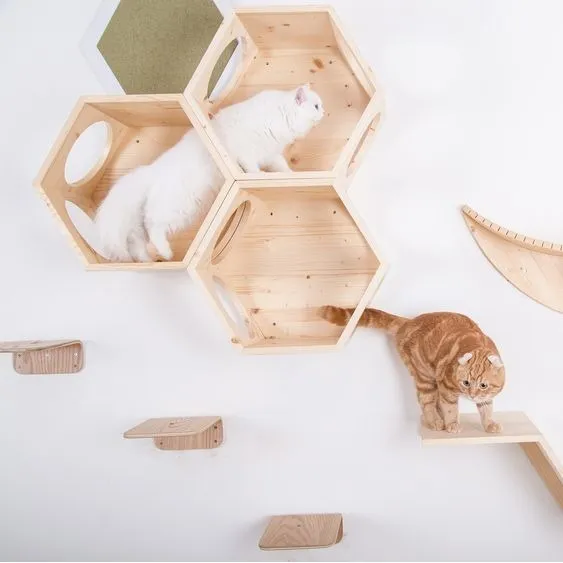 Casas Para Gatos Flotantes 
