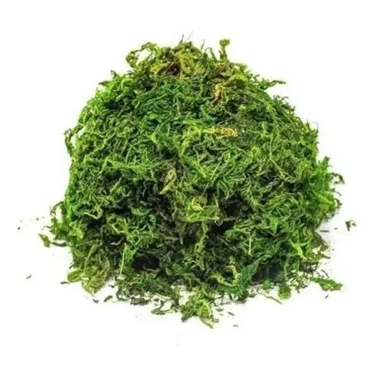 Grama Musgo Artifiicial Ideal Para Decorações/artesanato 25g