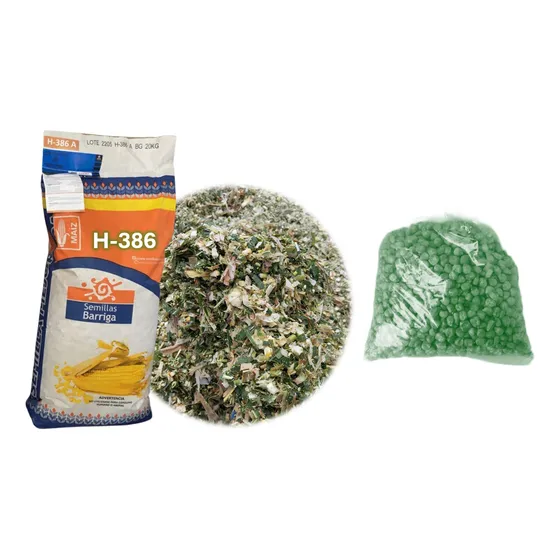 Semilla De Maiz Hibrido Amarillo H-386 Forrajero  10kg