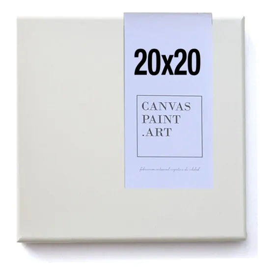 Cuadro 20x20 Para Pintar Bastidor Lienzo Algodón Canvas Focu