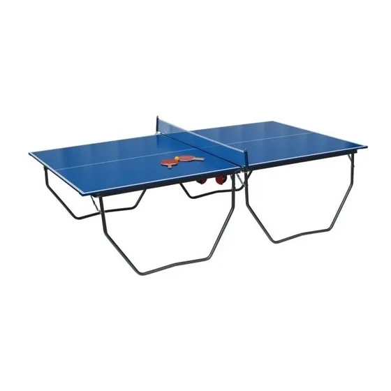 Mesa De Ping  Pong Profesional, Plegable Con Ruedas