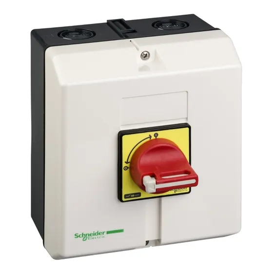 Interruptor Switch Seccionador C/caja 63a Schneider Vcf4ge