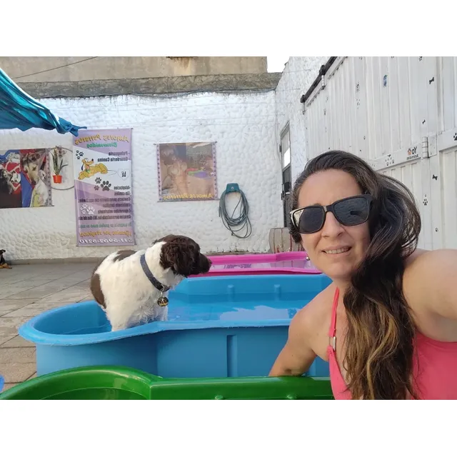 Guarderia Familiar Canina Sin Jaulas Amores Perreros 