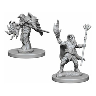 D&d Nolzurs Marvelous Miniature Male Elf Wizard D&d Nolzurs Marvelous Miniature Male Elf Wizard